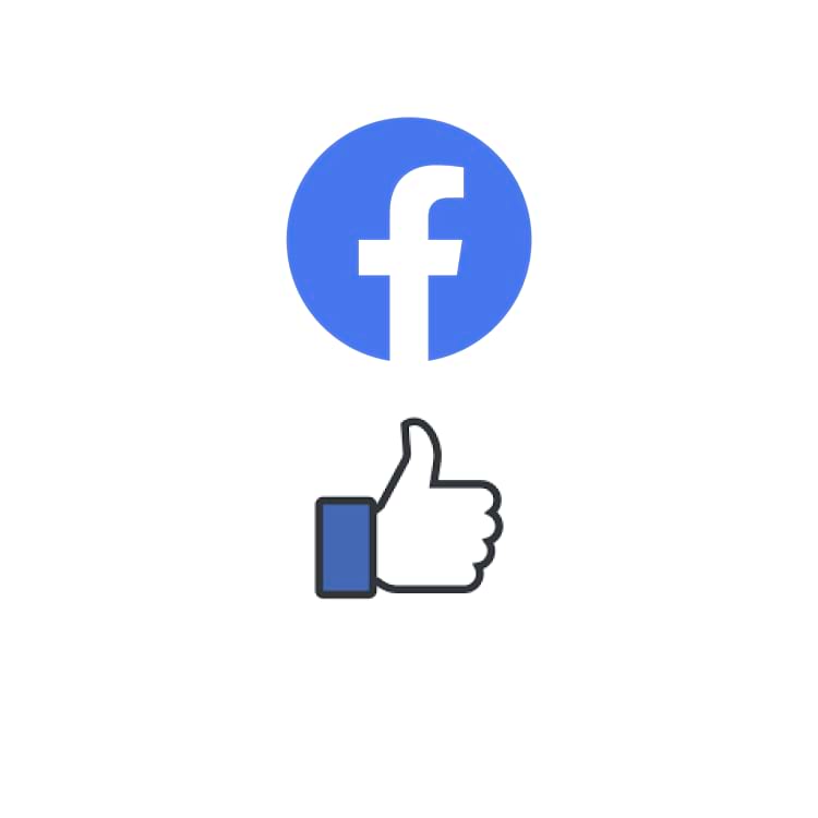 500個專頁讚好 (Page Like)1
