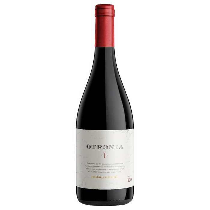 Otronia Block 1 Pinot Noir 2019, Patagonia,  Argentina (評分: JS 91)1
